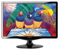 Viewsonic VA2231wa (VS13384)
